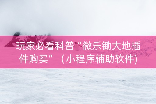 玩家必看科普“微乐锄大地插件购买”（小程序辅助软件)