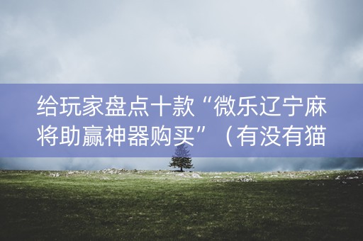给玩家盘点十款“微乐辽宁麻将助赢神器购买”（有没有猫腻)