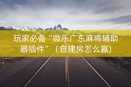 玩家必备“微乐广东麻将辅助器插件”（自建房怎么赢)