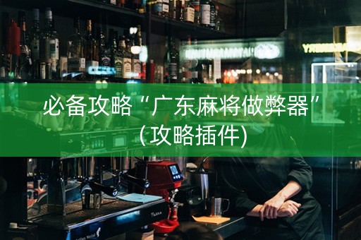 必备攻略“广东麻将做弊器”（攻略插件)