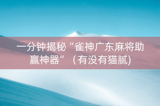 一分钟揭秘“雀神广东麻将助赢神器”（有没有猫腻)