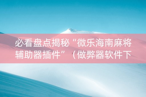 必看盘点揭秘“微乐海南麻将辅助器插件”（做弊器软件下载)