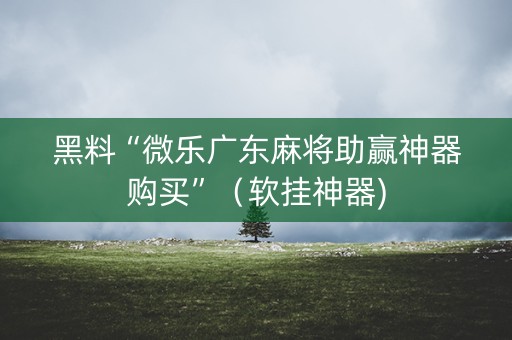 黑料“微乐广东麻将助赢神器购买”（软挂神器)