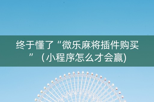 终于懂了“微乐麻将插件购买”（小程序怎么才会赢)