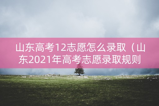 山东高考12志愿怎么录取（山东2021年高考志愿录取规则）