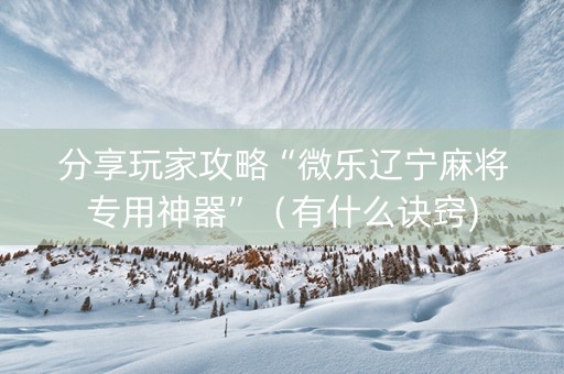 分享玩家攻略“微乐辽宁麻将专用神器”（有什么诀窍)