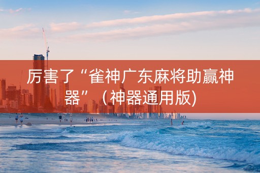 厉害了“雀神广东麻将助赢神器”（神器通用版)