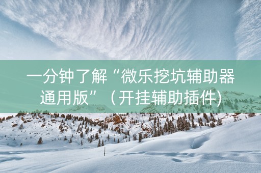 一分钟了解“微乐挖坑辅助器通用版”（开挂辅助插件)