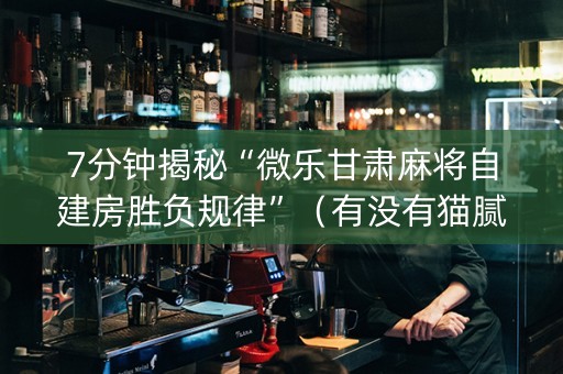 7分钟揭秘“微乐甘肃麻将自建房胜负规律”（有没有猫腻)