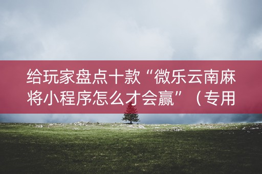 给玩家盘点十款“微乐云南麻将小程序怎么才会赢”（专用神器下载)