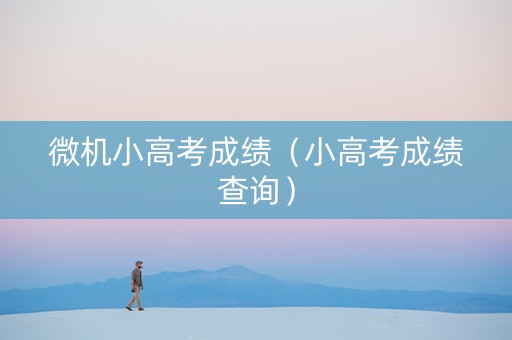 微机小高考成绩（小高考成绩查询）