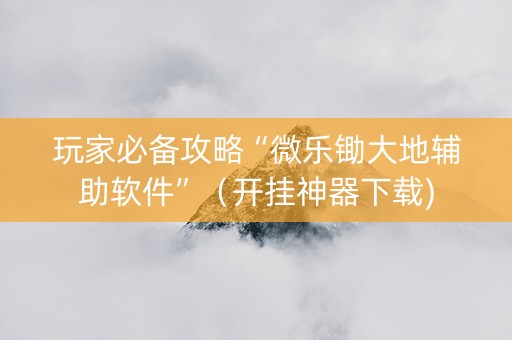 玩家必备攻略“微乐锄大地辅助软件”（开挂神器下载)