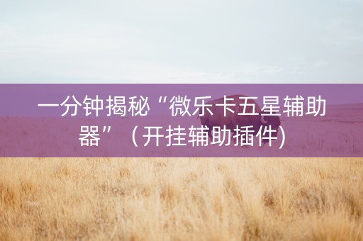 一分钟揭秘“微乐卡五星辅助器”（开挂辅助插件)