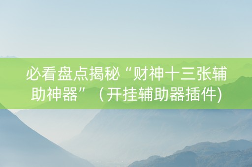 必看盘点揭秘“财神十三张辅助神器”（开挂辅助器插件)