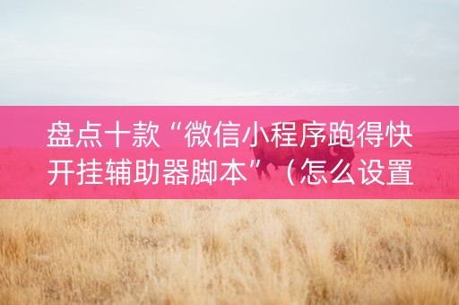 盘点十款“微信小程序跑得快开挂辅助器脚本”（怎么设置才能赢)
