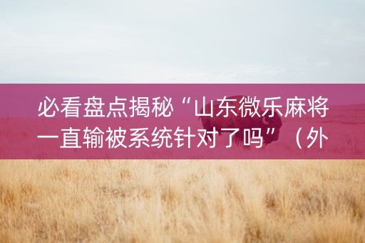必看盘点揭秘“山东微乐麻将一直输被系统针对了吗”（外辅工具)