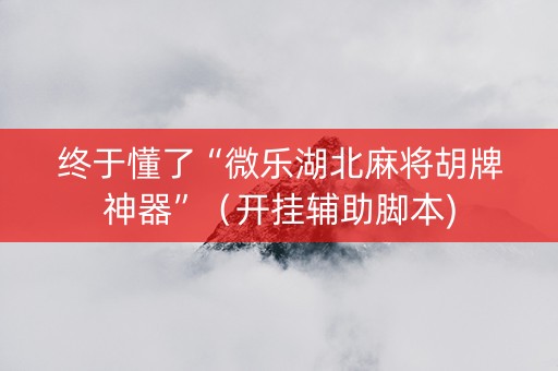 终于懂了“微乐湖北麻将胡牌神器”（开挂辅助脚本)