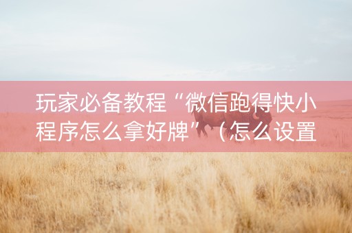 玩家必备教程“微信跑得快小程序怎么拿好牌”（怎么设置能有好牌)