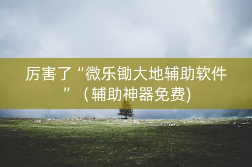 厉害了“微乐锄大地辅助软件”（辅助神器免费)