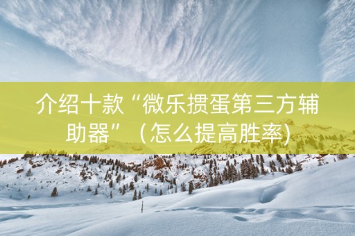 介绍十款“微乐掼蛋第三方辅助器”（怎么提高胜率)
