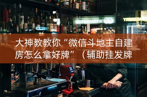 大神教教你“微信斗地主自建房怎么拿好牌”（辅助挂发牌规律)