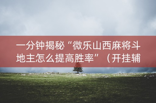 一分钟揭秘“微乐山西麻将斗地主怎么提高胜率”（开挂辅助插件)