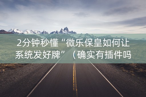 2分钟秒懂“微乐保皇如何让系统发好牌”（确实有插件吗)