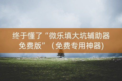 终于懂了“微乐填大坑辅助器免费版”（免费专用神器)