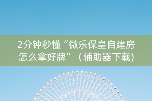 2分钟秒懂“微乐保皇自建房怎么拿好牌”（辅助器下载)