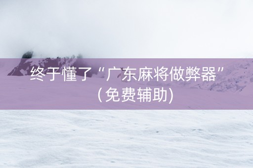 终于懂了“广东麻将做弊器”（免费辅助)