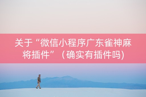 关于“微信小程序广东雀神麻将插件”（确实有插件吗)