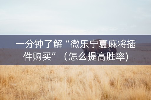 一分钟了解“微乐宁夏麻将插件购买”（怎么提高胜率)