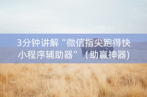 3分钟讲解“微信指尖跑得快小程序辅助器”（助赢神器)