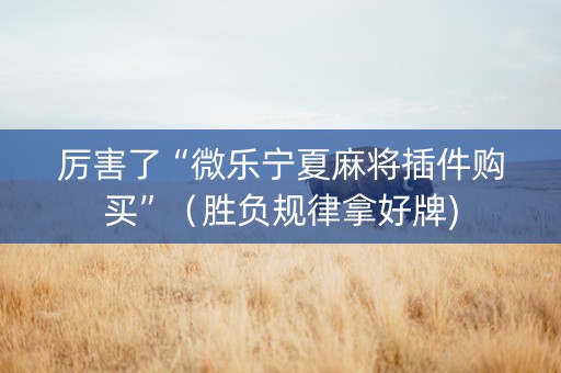 厉害了“微乐宁夏麻将插件购买”（胜负规律拿好牌)