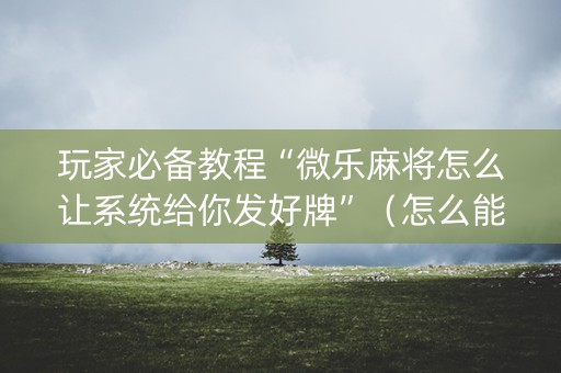 玩家必备教程“微乐麻将怎么让系统给你发好牌”（怎么能让牌好一点)