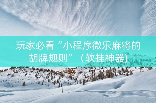 玩家必看“小程序微乐麻将的胡牌规则”（软挂神器)