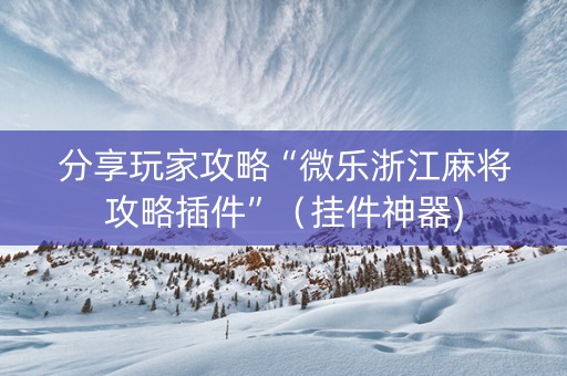 分享玩家攻略“微乐浙江麻将攻略插件”（挂件神器)