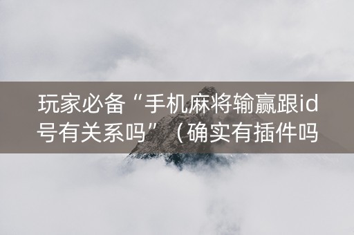 玩家必备“手机麻将输赢跟id号有关系吗”（确实有插件吗)