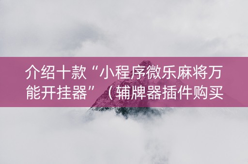 介绍十款“小程序微乐麻将万能开挂器”（辅牌器插件购买)