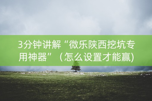 3分钟讲解“微乐陕西挖坑专用神器”（怎么设置才能赢)