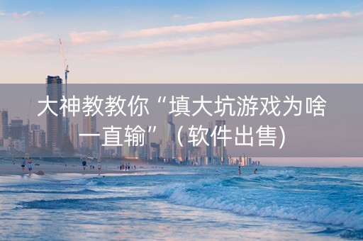 大神教教你“填大坑游戏为啥一直输”（软件出售)