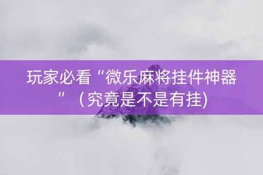 玩家必看“微乐麻将挂件神器”（究竟是不是有挂)
