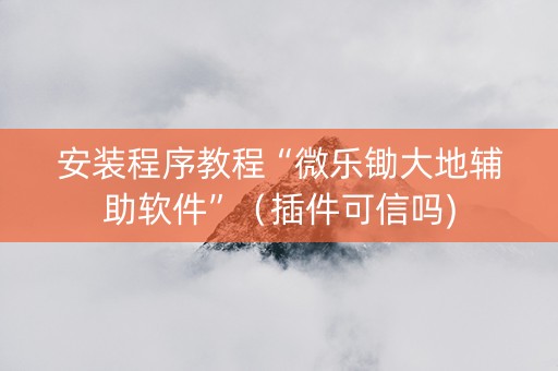 安装程序教程“微乐锄大地辅助软件”（插件可信吗)