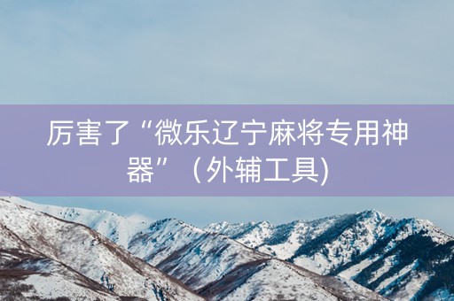 厉害了“微乐辽宁麻将专用神器”（外辅工具)