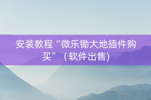 安装教程“微乐锄大地插件购买”（软件出售)