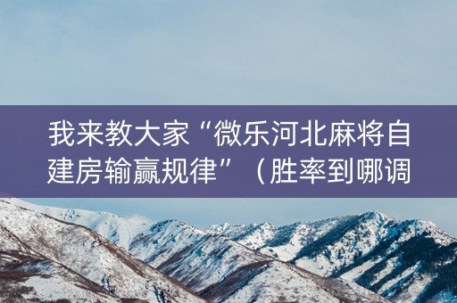 我来教大家“微乐河北麻将自建房输赢规律”（胜率到哪调)