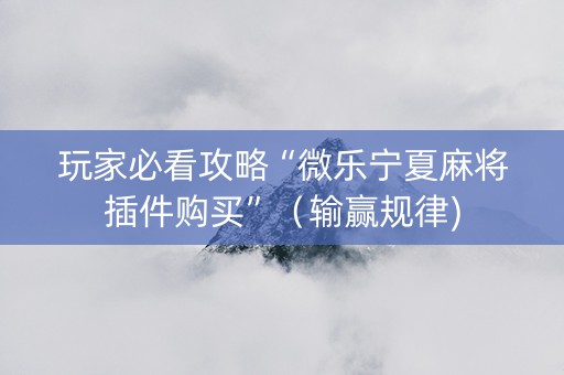 玩家必看攻略“微乐宁夏麻将插件购买”（输赢规律)