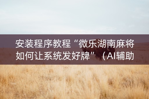 安装程序教程“微乐湖南麻将如何让系统发好牌”（AI辅助胡牌规则)