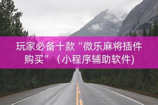 玩家必备十款“微乐麻将插件购买”（小程序辅助软件)