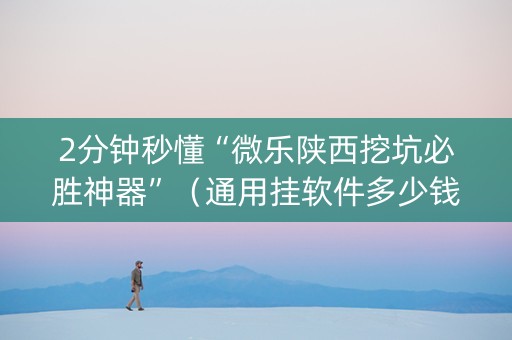 2分钟秒懂“微乐陕西挖坑必胜神器”（通用挂软件多少钱)